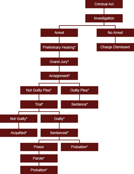 Diagram of the Criminal Justice Process